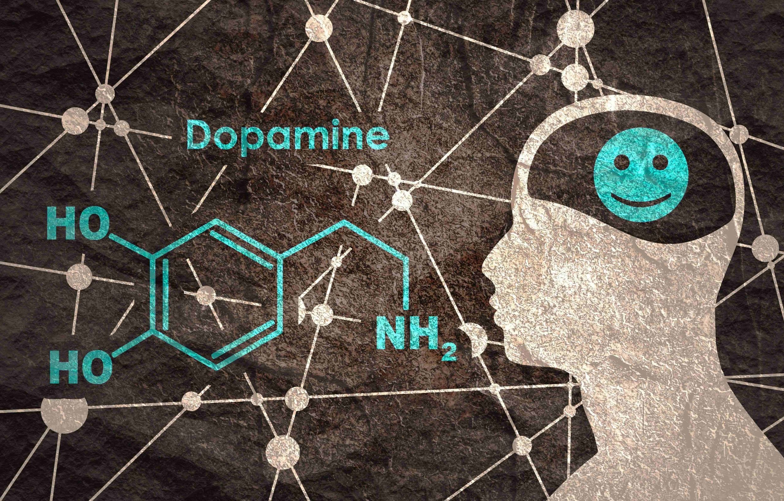5 Atremoplus dopamine la molécule du bonheur scaled - AtremoPlus: L-Dopa, der Vorläufer von Dopamin, dem sogenannten „Glücksmolekül“!